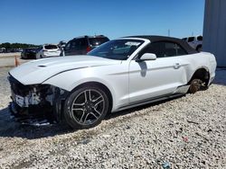 Salvage cars for sale at Jacksonville, FL auction: 2023 Ford Mustang