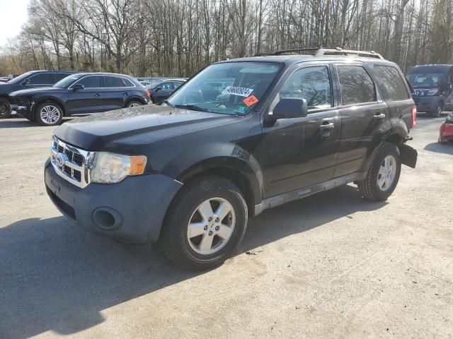 2010 Ford Escape XLT