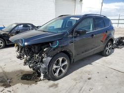 Salvage cars for sale at Farr West, UT auction: 2017 Ford Escape SE