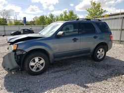 Salvage cars for sale from Copart Walton, KY: 2012 Ford Escape XLT