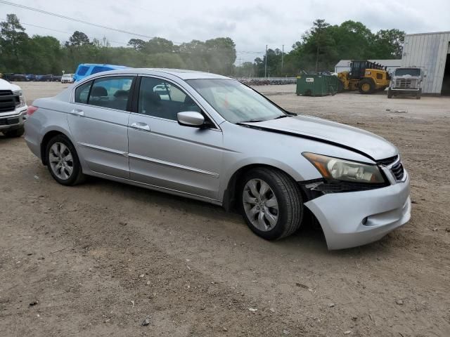 2009 Honda Accord EXL