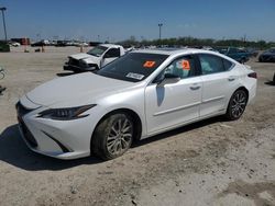 Salvage cars for sale from Copart Indianapolis, IN: 2021 Lexus ES 300H