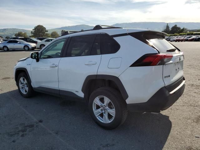 2019 Toyota Rav4 XLE