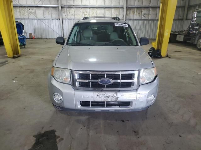 2008 Ford Escape XLT