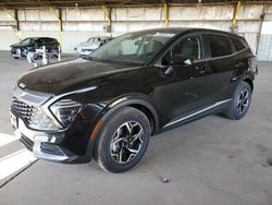 Salvage cars for sale at Phoenix, AZ auction: 2024 KIA Sportage LX