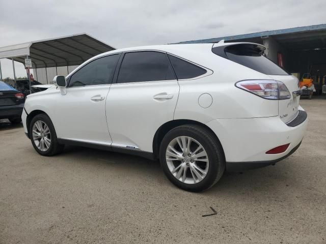 2010 Lexus RX 450