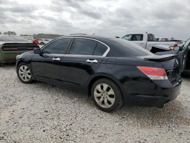 2010 Honda Accord EXL