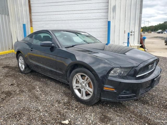 2013 Ford Mustang