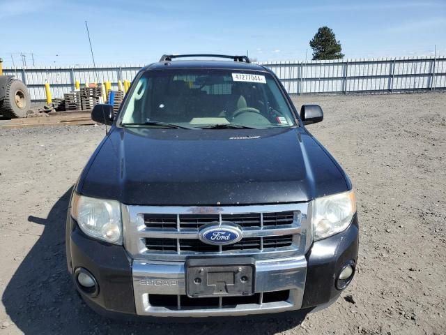 2010 Ford Escape Hybrid