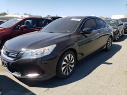 Salvage cars for sale from Copart Martinez, CA: 2015 Honda Accord Touring Hybrid