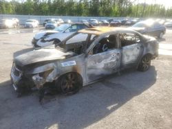 Salvage cars for sale at Harleyville, SC auction: 2010 Honda Accord EXL