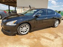 Salvage cars for sale from Copart Tanner, AL: 2010 Nissan Maxima S