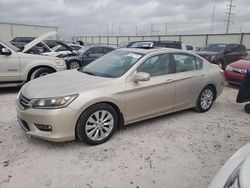 2013 Honda Accord EXL en venta en Haslet, TX