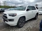 2021 Toyota 4runner Trail