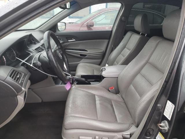 2009 Honda Accord EXL