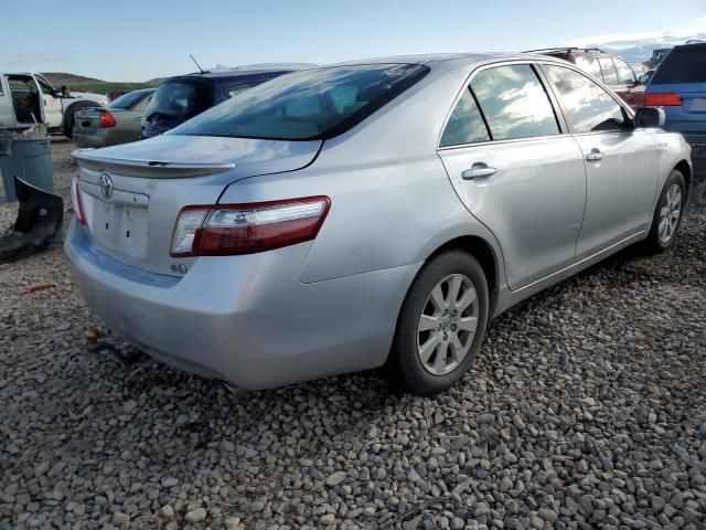 2008 Toyota Camry Hybrid