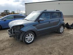 Salvage cars for sale at Rocky View County, AB auction: 2013 KIA Soul +