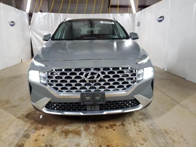 2023 Hyundai Santa FE SEL Premium