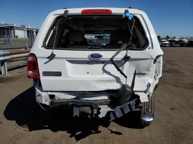 2008 Ford Escape XLT