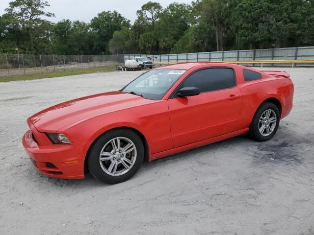 2013 Ford Mustang