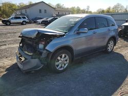 Salvage cars for sale from Copart York Haven, PA: 2007 Honda CR-V EXL