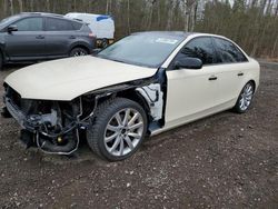 Salvage cars for sale from Copart Ontario Auction, ON: 2014 Audi A4 Premium