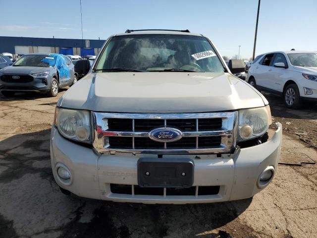 2008 Ford Escape XLT