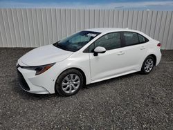 Salvage cars for sale from Copart Fredericksburg, VA: 2023 Toyota Corolla LE