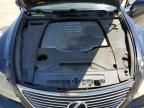 2007 Lexus LS 460