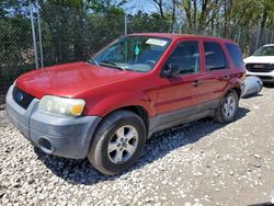 Salvage cars for sale at Cicero, IN auction: 2005 Ford Escape XLT