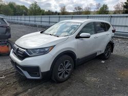 Salvage cars for sale at Grantville, PA auction: 2020 Honda CR-V EX