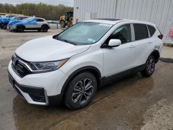Salvage cars for sale from Copart Windsor, NJ: 2020 Honda CR-V EXL