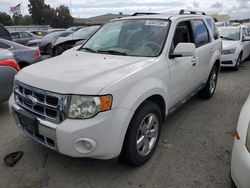 Ford Escape Limited salvage cars for sale: 2009 Ford Escape Limited