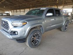 Salvage cars for sale at Phoenix, AZ auction: 2023 Toyota Tacoma Double Cab