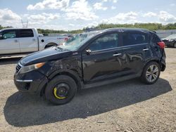 Salvage cars for sale from Copart Anderson, CA: 2014 KIA Sportage SX