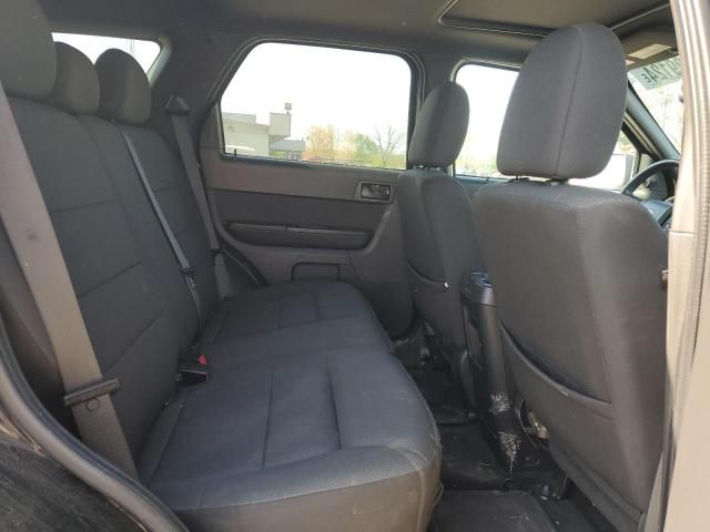 2010 Ford Escape XLT