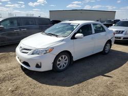 Salvage cars for sale at Rocky View County, AB auction: 2012 Toyota Corolla Base