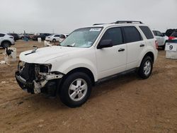 Salvage cars for sale from Copart Amarillo, TX: 2011 Ford Escape XLS