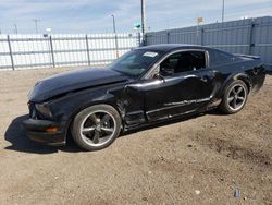 Salvage cars for sale at Greenwood, NE auction: 2008 Ford Mustang GT