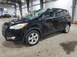Salvage cars for sale at Ham Lake, MN auction: 2016 Ford Escape SE