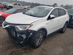 Salvage cars for sale from Copart Harleyville, SC: 2017 Toyota Rav4 HV LE
