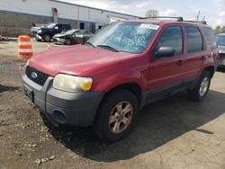Salvage cars for sale at New Britain, CT auction: 2006 Ford Escape XLT