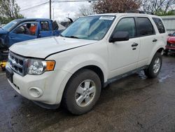 Ford salvage cars for sale: 2010 Ford Escape XLT