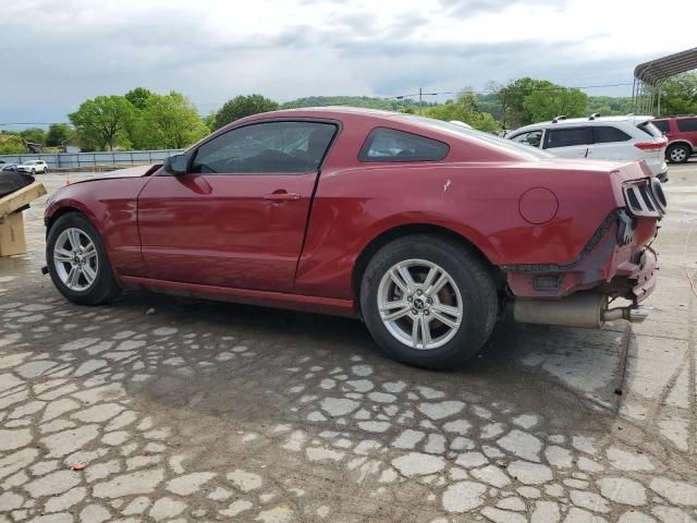 2014 Ford Mustang