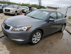 Salvage cars for sale at Louisville, KY auction: 2009 Honda Accord EXL