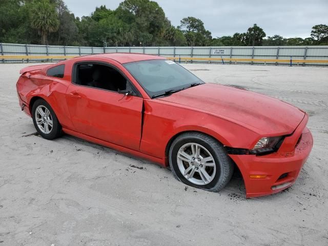 2013 Ford Mustang