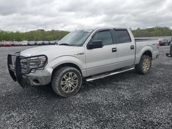 Salvage cars for sale from Copart Gastonia, NC: 2014 Ford F150 Supercrew