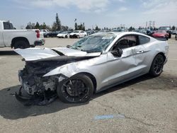 Salvage cars for sale from Copart Rancho Cucamonga, CA: 2016 Ford Mustang