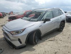 Salvage cars for sale at Earlington, KY auction: 2020 Toyota Rav4 XSE