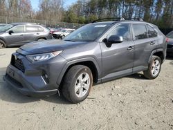 Salvage cars for sale at Waldorf, MD auction: 2021 Toyota Rav4 XLE